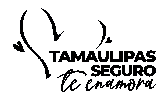 Tamaulipas Seguro
